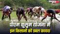 पीएम कुसुम योजना से किसानों को डबल कमाई का मौका, जानें कैसे मिलेगा फायदा