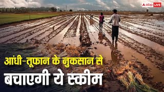 आंधी-बारिश या तूफान में नहीं होगा नुकसान, सरकार की इस स्कीम से मिलेगा पूरा मुआवजा