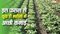 कुछ ही महीनों में उग आती हैं ये फसल, किसान भाई कमा सकते हैं तगड़ा मुनाफा