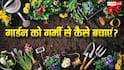 अप्रैल में गार्डन को रखें हरा-भरा, गर्मी से बचाने के स्मार्ट तरीके