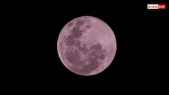Pink Moon: ब्लड मून से कितना अलग होता है पिंक मून, असमान में कितने साल में एक बार होती है यह घटना?