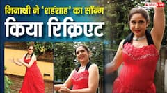 मीनाक्षी शेषाद्रि ने अमिताभ बच्चन की फिल्म का गाना किया रिक्रिएट, वीडियो वायरल