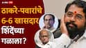 Eknath Shinde Opration Tiger मोठी बातमी: ठाकरे-पवारांचे 6-6 खासदार शिंदेंच्या गळाला?; पवारांचे खासदार फोडू नका, एकनाथ शिंदेंच्या ऑपरेशन टायगरला भाजपचा ब्रेक