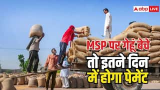 MSP पर गेहूं बेचने के कितने दिन में हो जाना चाहिए पेमेंट, क्या है नियम?