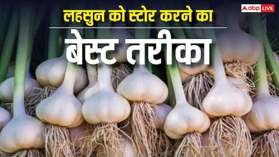 ऐसे स्टोर करेंगे लहसुन तो सालों साल नहीं होगा खराब, जान लें तरीका ऐसे स्टोर करेंगे लहसुन तो सालों साल नहीं होगा खराब, जान लें तरीका