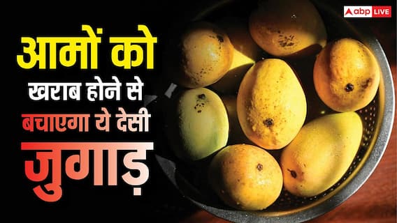 यह देसी जुगाड़ लगा लिया तो आम कभी नहीं होगा खराब, सिर्फ इस छोटी-सी चीज की होती है जरूरत यह देसी जुगाड़ लगा लिया तो आम कभी नहीं होगा खराब, सिर्फ इस छोटी-सी चीज की होती है जरूरत