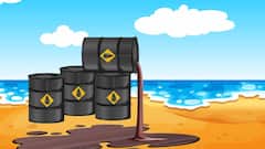 पानी जैसा साफ होता है असली केरोसिन, फिर सरकारी दुकानों पर मिलने वाले तेल का रंग नीला क्यों?