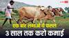 एक बार यह फसल लगाई तो 3 साल तक लगातार होगी कमाई, मेडिकल से ब्यूटी तक आता है काम