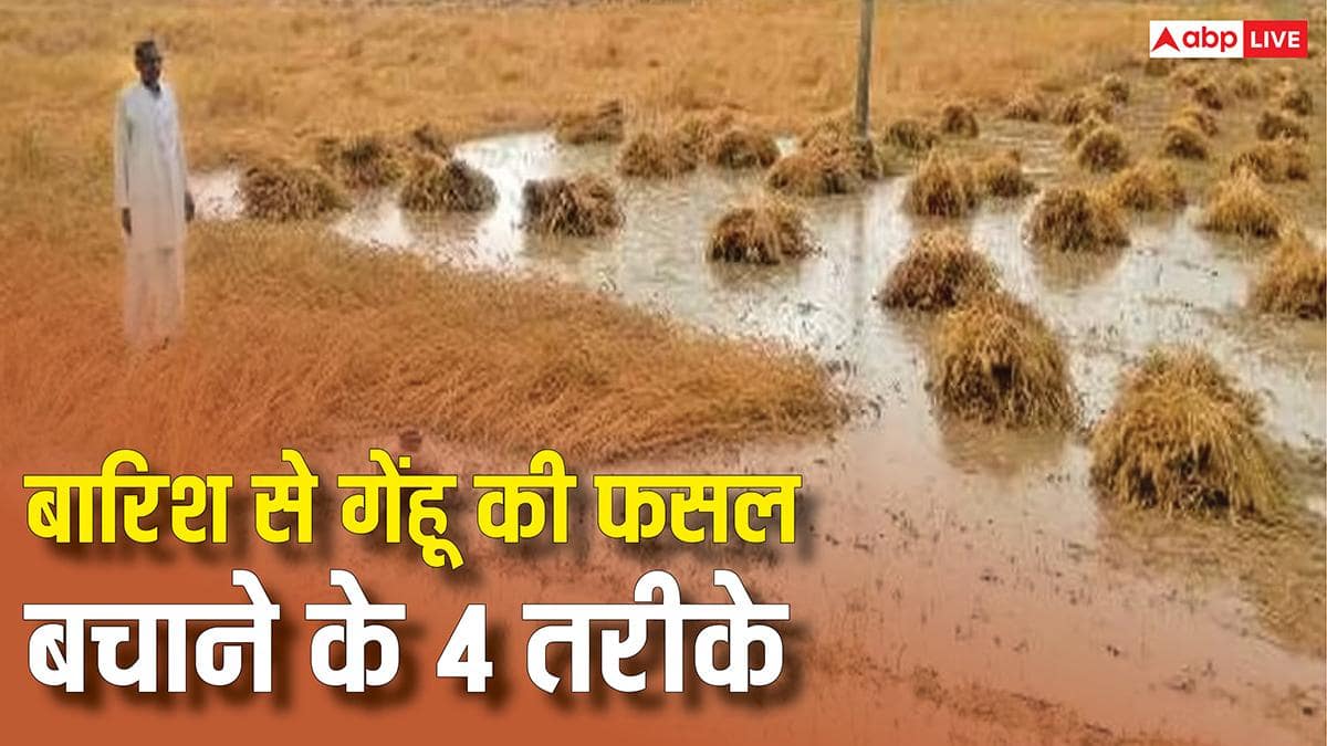 The Art of Baking: From Classic Bread to Artisan Pastries