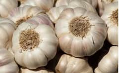 ਇਦਾਂ ਸਟੋਰ ਕਰੋ ਲਸਣ, ਸਾਲਾਂ ਤੱਕ ਨਹੀਂ ਹੋਵੇਗਾ ਖਰਾਬ; ਜਾਣੋ ਤਰੀਕਾ