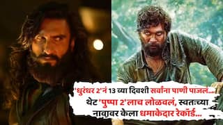 Dhurandhar 2 Box Office Collection Day 13: 'धुरंधर 2'नं 13 व्या दिवशी सर्वांना पाणी पाजलं; थेट 'पुष्पा 2'लाच लोळवलं, स्वतःच्या नावावर केला धमाकेदार रेकॉर्ड