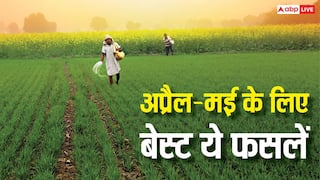 कम समय में ज्यादा कमाई चाहिए? अप्रैल-मई में उगाएं ये बेस्ट फसलें