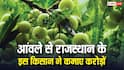 राजस्थान के इस शख्स ने 15 रुपये के आंवले से कमाए करोड़ों, सक्सेस स्टोरी कर देगी इंस्पायर