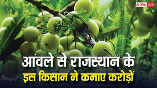 राजस्थान के इस शख्स ने 15 रुपये के आंवले से कमाए करोड़ों, सक्सेस स्टोरी कर देगी इंस्पायर