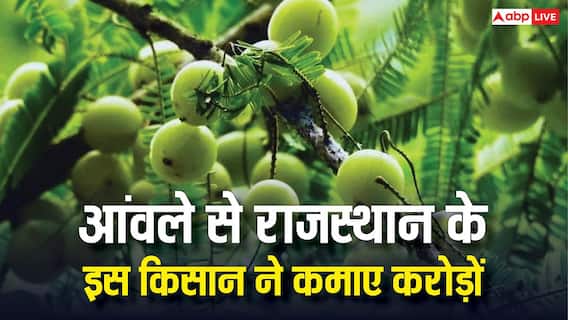 राजस्थान के इस शख्स ने 15 रुपये के आंवले से कमाए करोड़ों, सक्सेस स्टोरी कर देगी इंस्पायर राजस्थान के इस शख्स ने 15 रुपये के आंवले से कमाए करोड़ों, सक्सेस स्टोरी कर देगी इंस्पायर