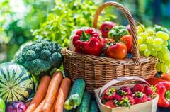 Colorful Vegetables Farming : ਜੇਕਰ ਘੱਟ ਸਮੇਂ 'ਚ ਵਧੇਰੇ ਮੁਨਾਫ਼ਾ ਚਾਹੁੰਦੇ ਹੋ ਤਾਂ ਕਰੋ ਇਸ ਰੰਗੀਨ ਸਬਜ਼ੀ ਦੀ ਖੇਤੀ