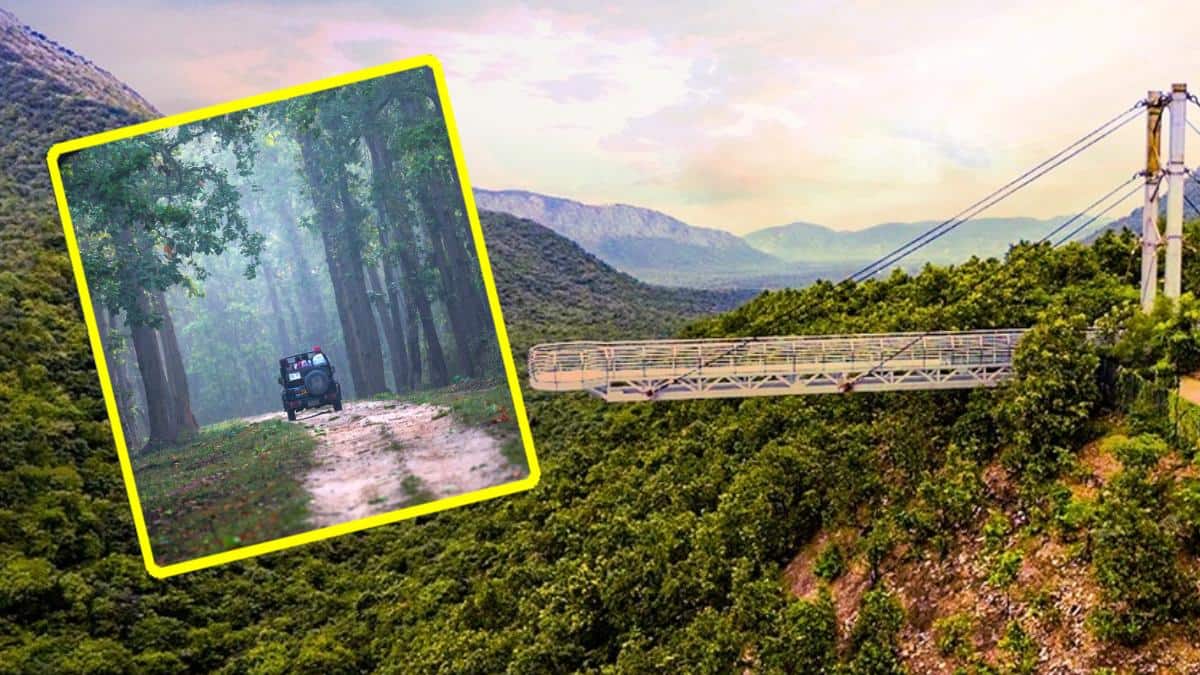 गर्मी में घूमिए बिहार! राजगीर सफारी का नया 'प्रायोरिटी पैकेज' लॉन्च, एक ही टिकट में बहुत कुछ