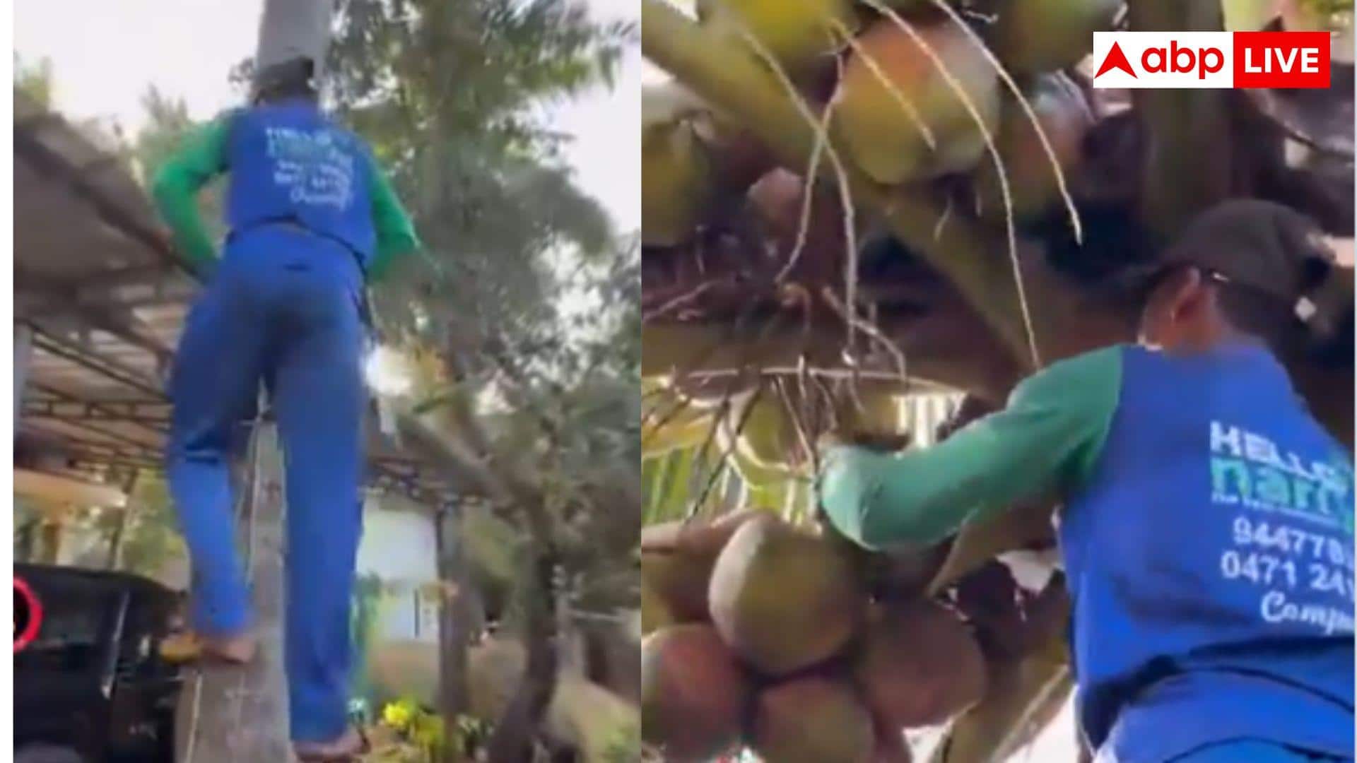 Viral video: टेक्नोलॉजी ने बदला काम, केरल में अब कैब की तरह बुक हो रहे नारियल तोड़ने वाले-वीडियो हुआ वायरल