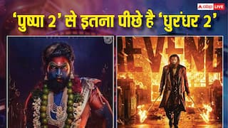 'पुष्पा 2' से इतना ज्यादा पीछे है 'धुरंधर 2', नंबर वन बनने के लिए कमाने पड़ेंगे इतने करोड़