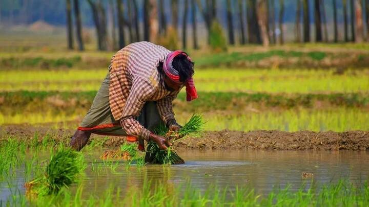 कुल मिलाकर कहें तो मिडिल ईस्ट का यह संकट भारतीय किसानों के लिए एक बड़ी चुनौती बन गया है. अगर इस ग्लोबल क्राइसिस का समाधान जल्दी नहीं निकला. तो खेती करना वाकई बहुत मुश्किल और घाटे का सौदा बन सकता है.