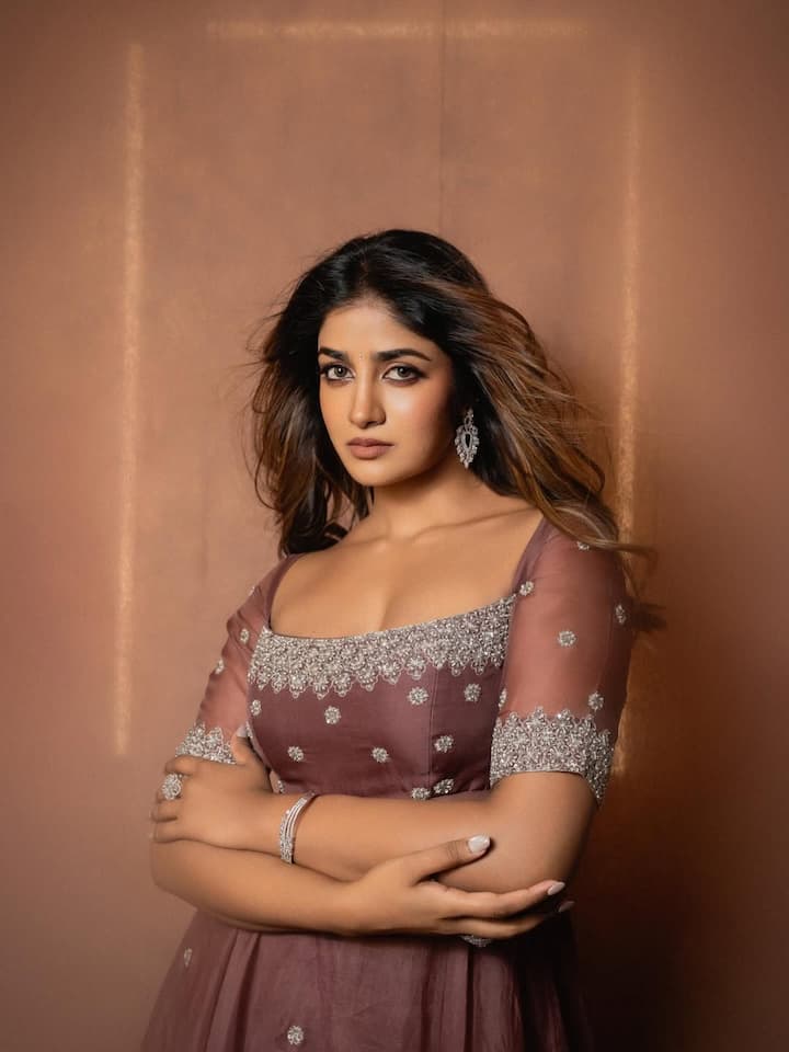 డింపుల్ హయతి లేటెస్ట్ ఫోటోలు (Image Courtesy: dimplehayathi / Instagram)
