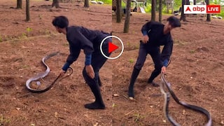 Video: सांप को रस्सी बनाकर घुमा रहा था सिरफिरा, सांप ने एकदम कर दिया हमला, रोंगटे खड़े कर देगा VIDEO