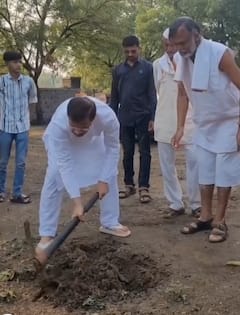 तुकाराम मुंढेंचं आदर्शवत पाऊल, रुढींना फाटा, आईंच्या अस्थींचे शेतातच विसर्जन; वडाचं रोपटं लावून जपली आठवण