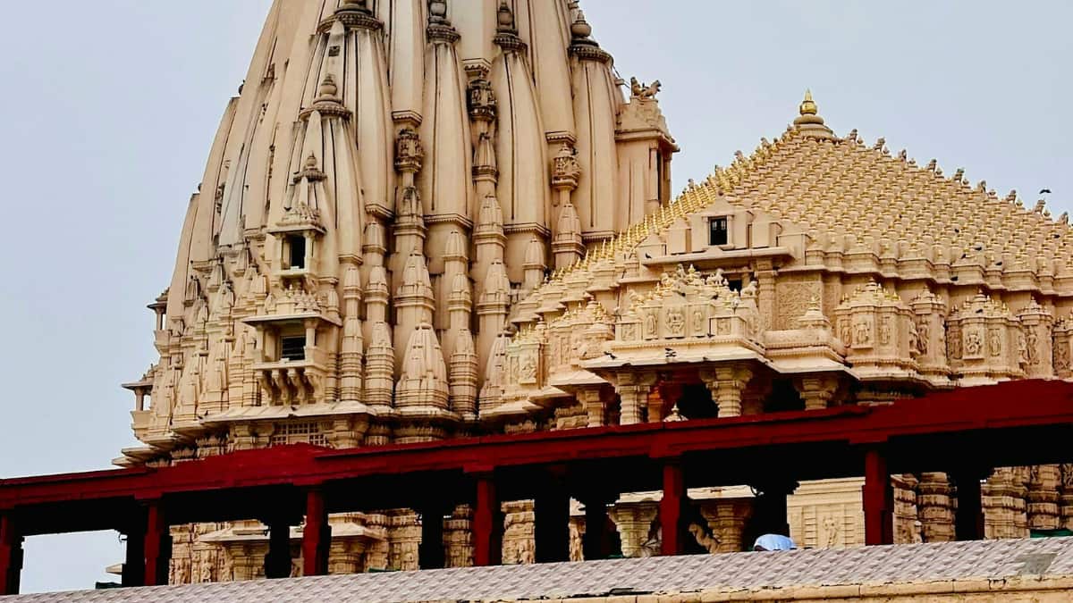 (Image Source: Canva)