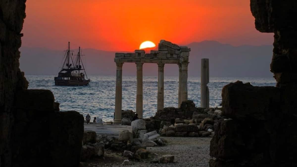 (Image Source: x/ NatureRoot88)