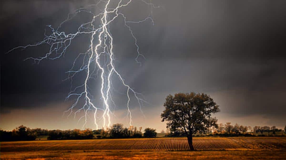 AP Rains Alert: ఏపీలో 2 రోజులపాటు పలు జిల్లాల్లో పిడుగులతో వర్షాలు.. మరోవైపు నిప్పులు చెరిగే ఎండలు!