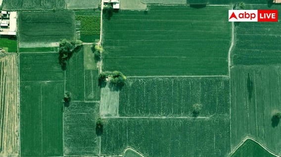 Farming: खसरा-खतौनी, चकबंदी और बीघा-बिस्वा... खेती-किसानी से जुड़े इन शब्दों का क्या होता मतलब? Farming: खसरा-खतौनी, चकबंदी और बीघा-बिस्वा... खेती-किसानी से जुड़े इन शब्दों का क्या होता मतलब?