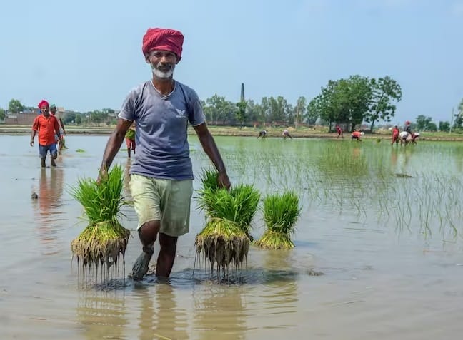 ટાયર અને બેટરી આરોગ્ય: યોગ્ય ટાયર દબાણ જાળવો. ઓછા ફૂલેલા ટાયર ઝડપથી ઘસાઈ જાય છે અને બળતણનો વપરાશ વધારે છે. બેટરી રિમ સાફ રાખો અને પાણી ઓછું થવા પર તેને ફરીથી રિફિલ કરો