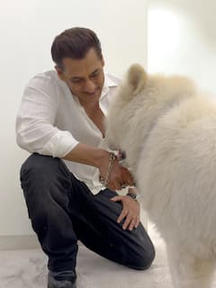 Salman Khan ने अपने 'सुख' के साथ बिताया क्वालिटी टाइम, तस्वीरों में दिखा भाईजान का असली सुकून