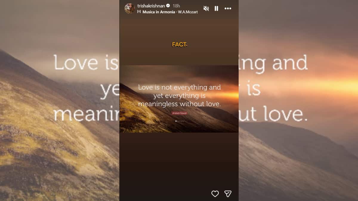 (Image Source: Instagram/@trishakrishnan)