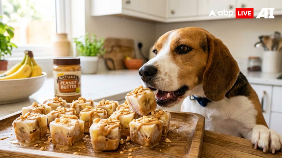 (Image Source: ABPLIVE AI)