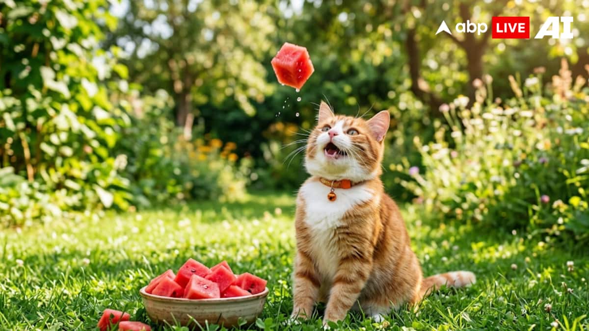 (Image Source: ABPLIVE AI)