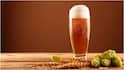 Beer in Summer : వేసవిలో బీర్ తాగుతూ చిల్ అవుతున్నారా? లాభ, నష్టాలతో పాటు తీసుకోవాల్సిన జాగ్రత్తలు ఇవే