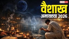 आज वैशाख अमावस्या, करें ये 8 काम, सफलता के खुलेंगे रास्ते