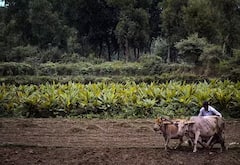 PM Kisan Maandhan Yojana: આ યોજનામાં ખેડૂતોને દર મહિને મળે છે 3000 રૂપિયાનું પેન્શન, બસ કરવું પડશે આ કામ