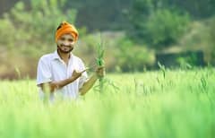 PM Kisan Maandhan Yojana: આ યોજનામાં ખેડૂતોને દર મહિને મળે છે 3000 રૂપિયાનું પેન્શન, બસ કરવું પડશે આ કામ