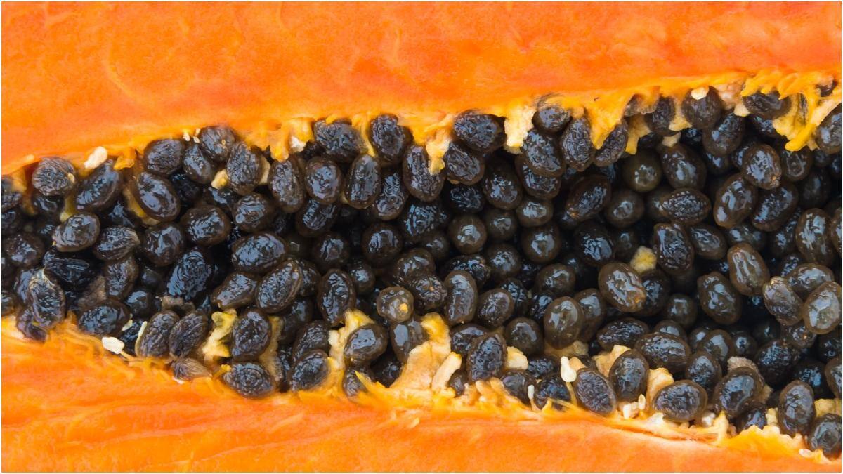 Papaya Seeds : వేసవిలో బొప్పాయి గింజలు తింటే కలిగే ప్రయోజనాలు ఇవే.. ఎంత మోతాదులో.. ఎలా తీసుకుంటే మంచిదో తెలుసా?