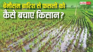 कई राज्यों में लगातार हो रही बारिश, गेहूं-आलू और सरसों कैसे बचाएं किसान?