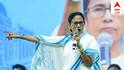 Mamata Banerjee Flags ‘Logical Discrepancy’ In SIR, Urges Voters To Stand Firm