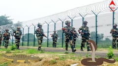 Indian Border Security: সীমান্তে সাপ, কুমির ছাড়ার ভাবনা, বার্তা গেল BSF-এর কাছে, বাংলাদেশ থেকে অনুপ্রবেশ ঠেকানোর রাস্তা খুঁজছে কেন্দ্র