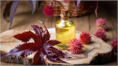 Hair Growth with Castor Oil : జుట్టు బాగా పెరగాలంటే ఆముదంలో ఈ నూనెలు కలిపి అప్లై చేయండి.. Hairfall కూడా తగ్గుతుంది