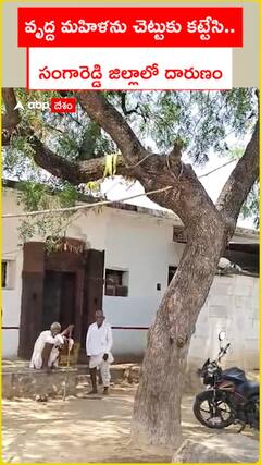 Old Lady Tied to Tree in Sangareddy