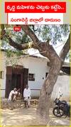 Old Lady Tied to Tree in Sangareddy