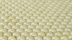 Pearl Farming: मोती की खेती से घर में होगा पैसा ही पैसा, जानें इसके लिए कितनी सब्सिडी देती है सरकार?