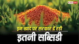 नाइट्रोजन-फास्फेट और सल्फर-पोटाश पर कितनी मिलती है सब्सिडी, जान लें इनकी असली कीमत?