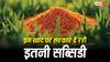 नाइट्रोजन-फास्फेट और सल्फर-पोटाश पर कितनी मिलती है सब्सिडी, जान लें इनकी असली कीमत?